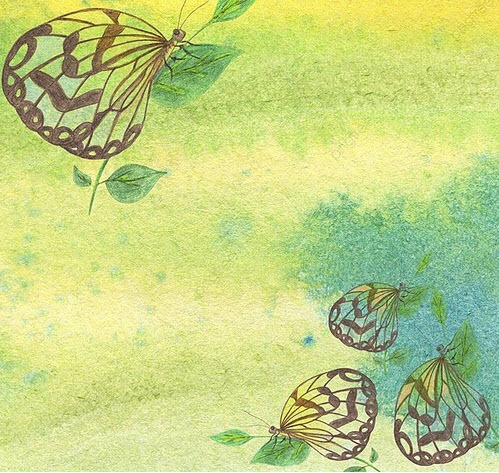 Color-drawing-butterfly