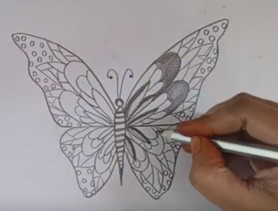 butterfly-draw